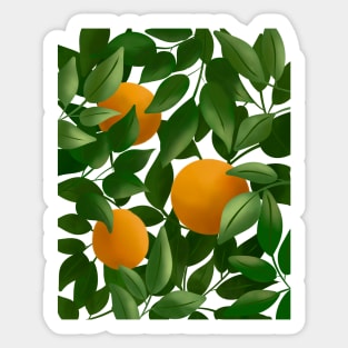 Oranges Sticker